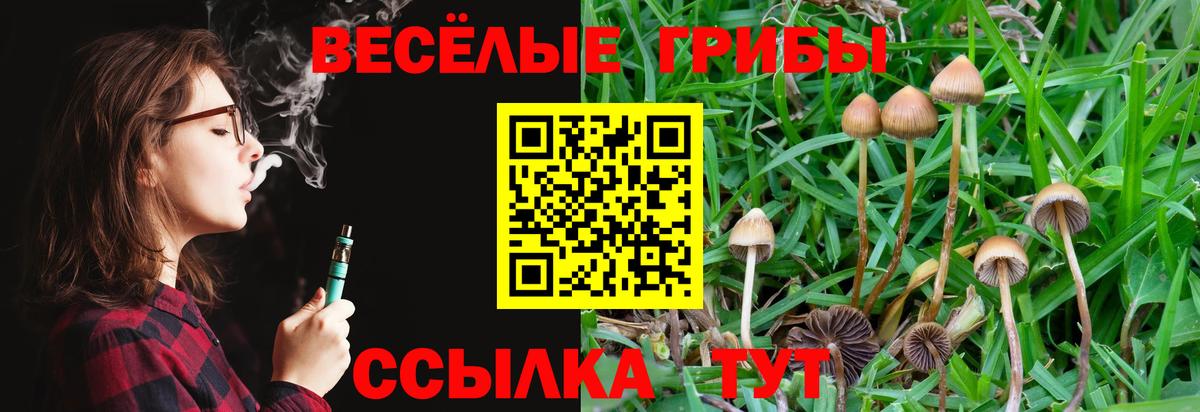Псилоцибиновые грибы прущие грибы  Вход с VPN  Галлюциногенные грибы прущие грибы  Минусинск 